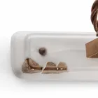 Nášivka dva reflektory Amelia Ferroluce řemesla Viadurini