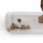 Nášivka dva reflektory Amelia Ferroluce řemesla Viadurini