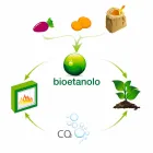 Biokrb na bílé zdi s moderním designem se skleněnou vložkou Erica Viadurini