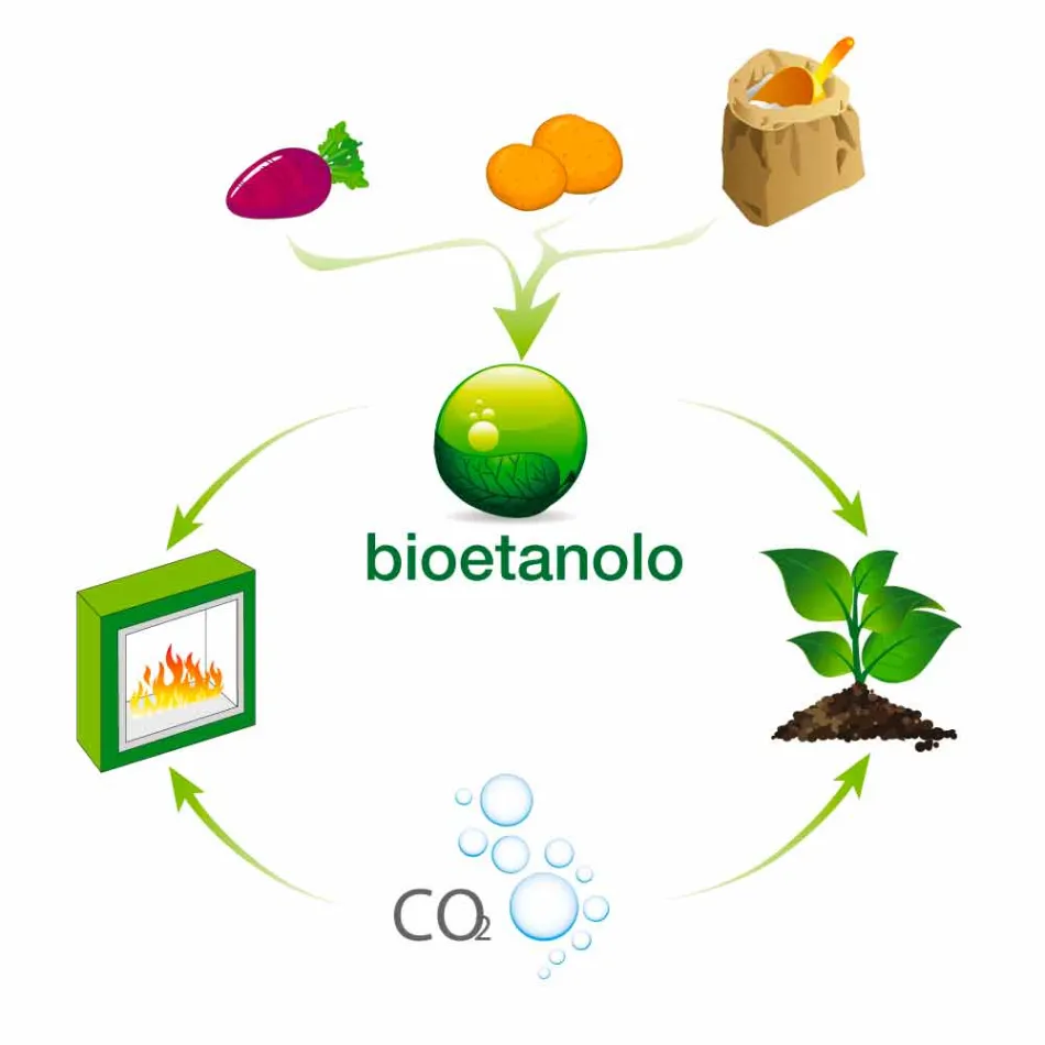 Biokrb na bílé zdi s moderním designem se skleněnou vložkou Erica Viadurini