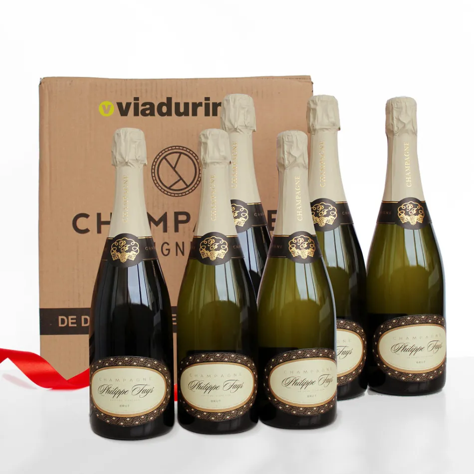 Champagne Cuvee exkluzivně pro Viadurini balení 6 lahví "Champagne de Vignerons" Viadurini