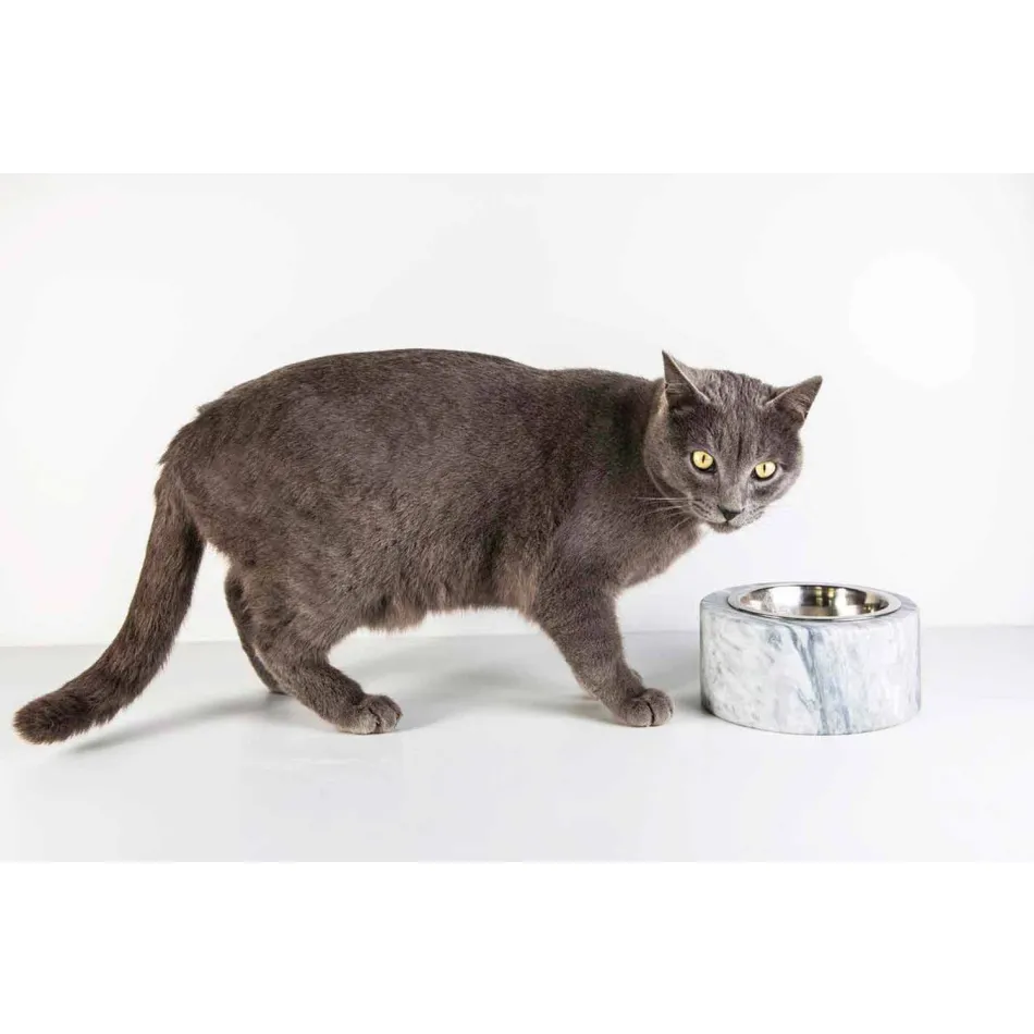 Mísa pro psy a kočky v bílém mramoru Carrara Vyrobeno v Itálii - Ciotta Viadurini