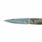 Ručně vyrobený nůž Anconetano s rukojetí Horn vyrobený v Itálii - Tanco Viadurini