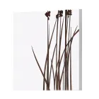 Složení 4 panelů s hortenzií, Allium a Thypha Made in Italy - Výpočet Viadurini