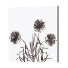 Složení 4 panelů s hortenzií, Allium a Thypha Made in Italy - Výpočet Viadurini