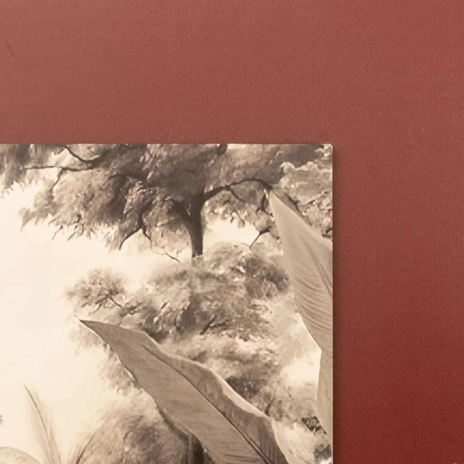 Kompozice dřevěných obrazů s potiskem slonů Made in Italy - Patagonia Viadurini