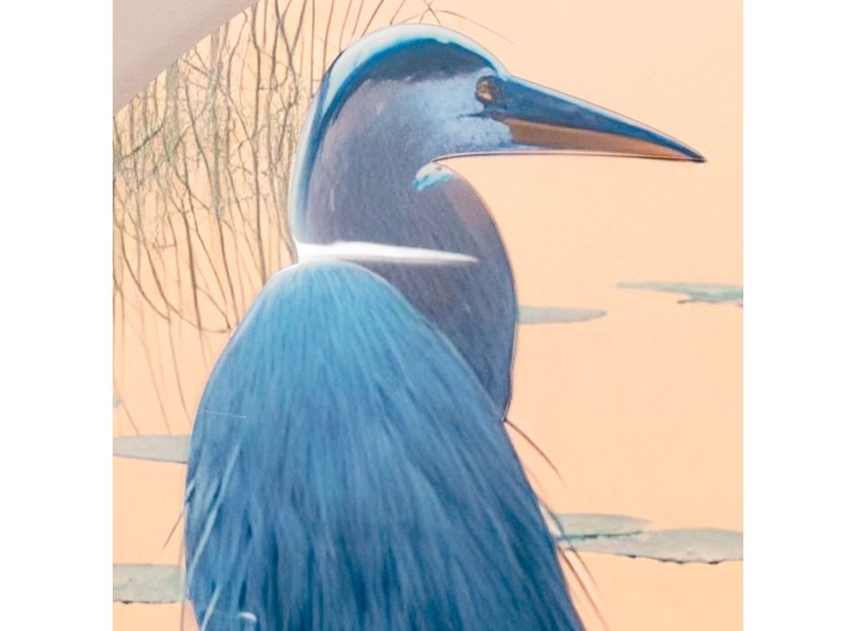 Kompozice dřevěných obrazů s potiskem ptáků Made in Italy - Belize Viadurini