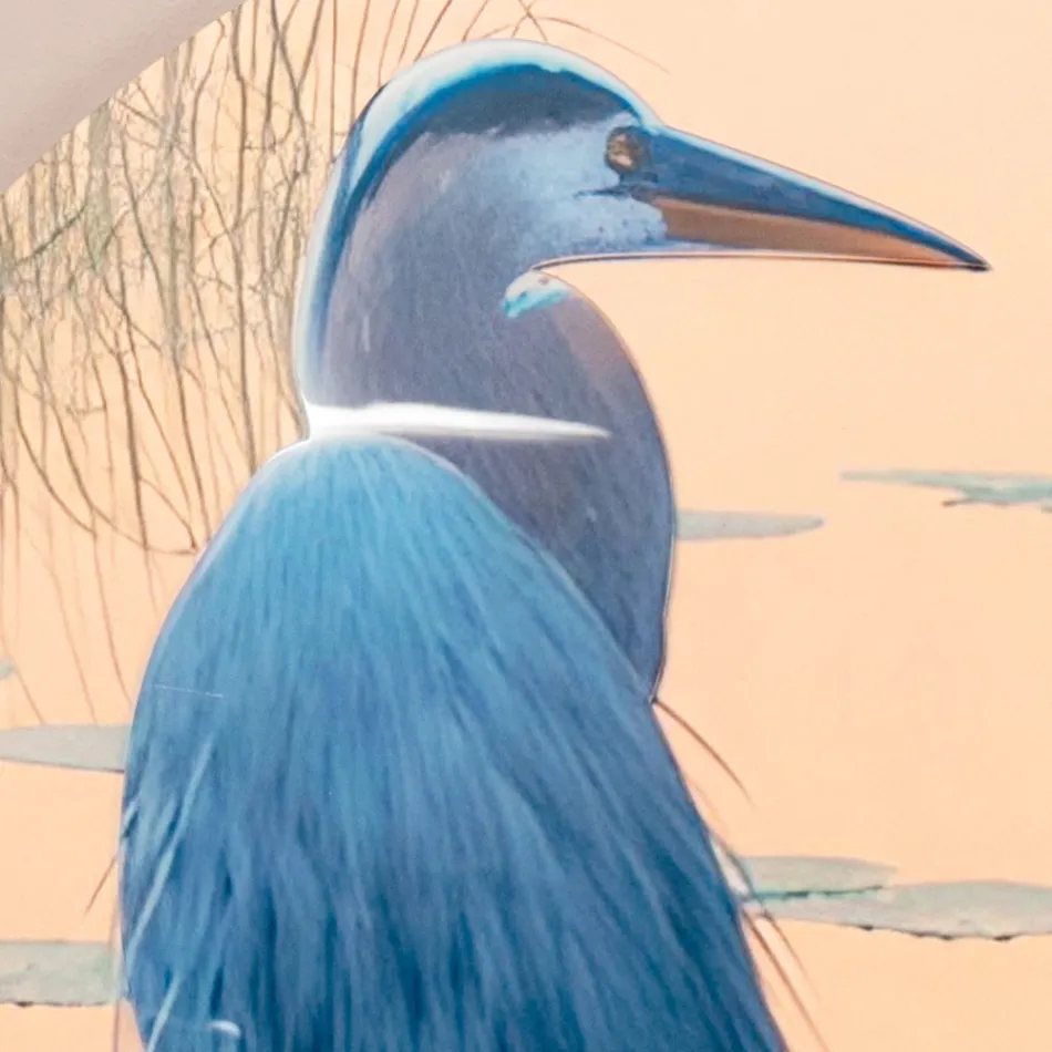 Kompozice dřevěných obrazů s potiskem ptáků Made in Italy - Belize Viadurini