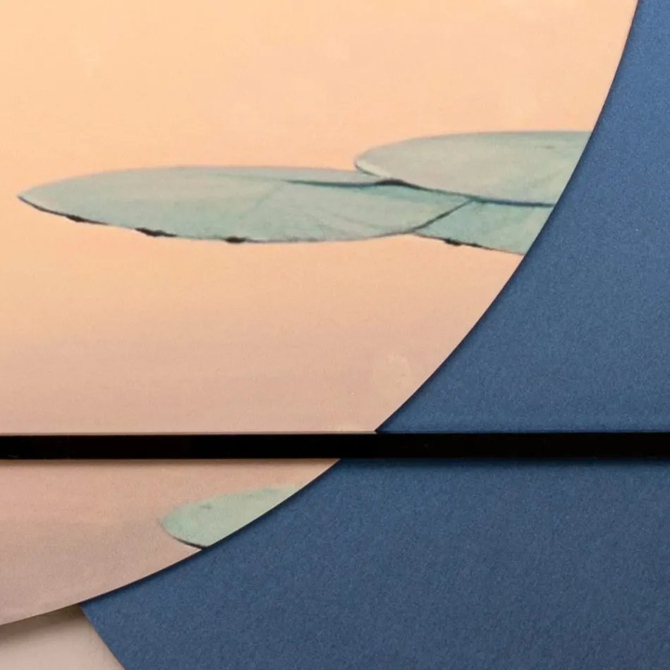 Kompozice dřevěných obrazů s potiskem ptáků Made in Italy - Belize Viadurini