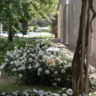 Zahradní stojací lampa hliníkové bílé provedení s listem leknínu - Cipriam Viadurini