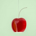Závěsná keramická lampa v Cherry - Ovoce Aldo Bernardi