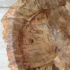 Hvězdice z ušlechtilé dřevěné koupelny, jedinečný design Viadurini