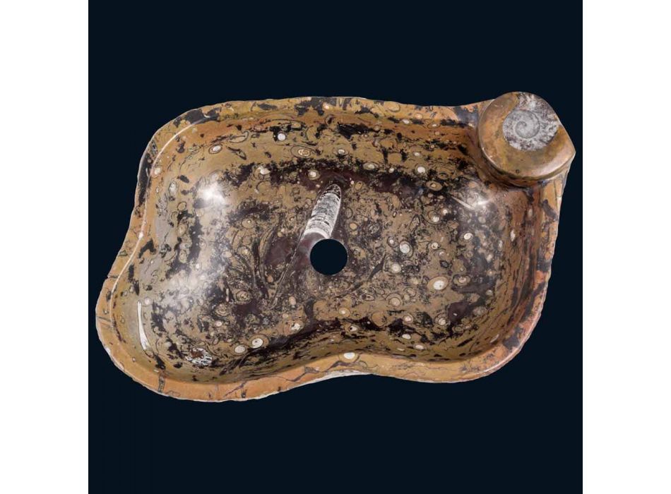 Umyvadlo mramoru pult a Numa fosílie, jedinečné dílo Viadurini