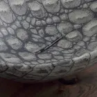 Návrh keramické umývadlo na desku vyrobené v Itálii Zvířata Viadurini