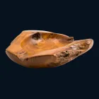 Umyvadlo teakového dřeva pultu ručního Nemo Viadurini