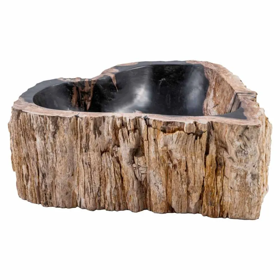 Stojací umyvadlo z fosilního dřeva, Neirone Viadurini