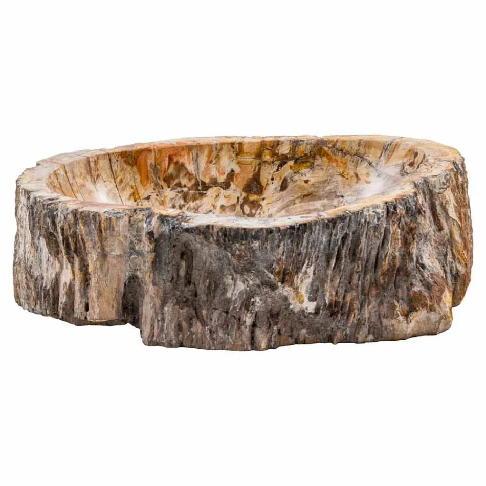 Ručně vyrobené dřevo z fosilního dřeva, Neviglie Viadurini