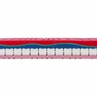 Jediná matrace v kvalitní paměti 25 cm vysoká Vyrobeno v Itálii - Platina Viadurini