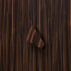 Grilli Zarafa 2-dveřní designová skříňka vyrobená v Itálii v ebenovém dřevě Viadurini