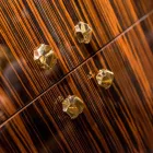 Moderní mobilní kontejner se 4 dveřmi z leštěného ebenového dřeva Ada Viadurini