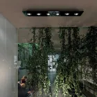 Stropní svítidlo s plochou skleněnou deskou se sníženým podáním - Kora Viadurini