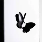 Černý deštník z plexiskla s 3D rytinami a dekoracemi, moderní design - Farfo Viadurini