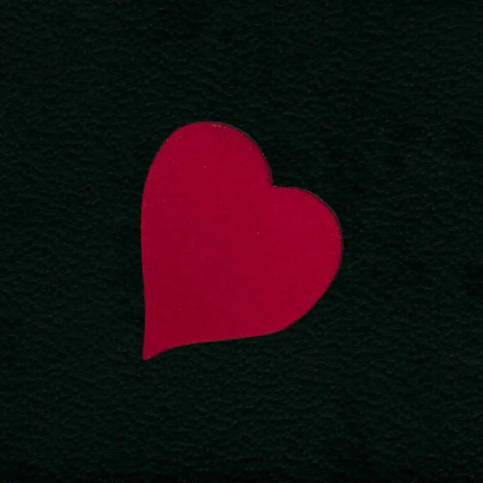 Stojan na design časopisů v kožené barvě s moderním designem Beatrice Viadurini