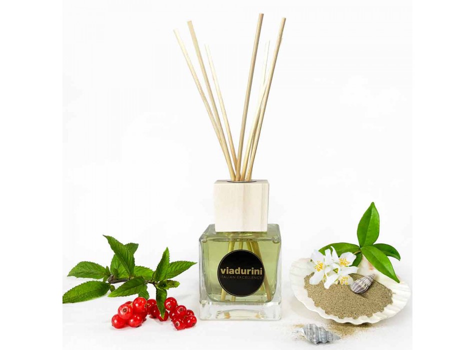 Ambient Fragrance Vanilla and Mou 200 ml s tyčinkami - Sabbiedelsalento Viadurini