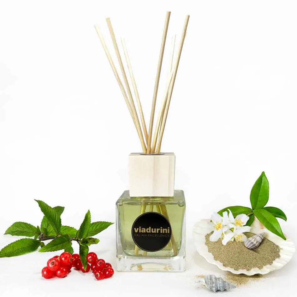 Ambient Fragrance Vanilla and Mou 200 ml s tyčinkami - Sabbiedelsalento Viadurini