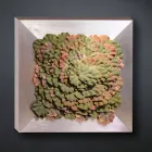 Moderní nástěnný obraz z kovu a umělých květin vyrobený v Itálii - Gonio Viadurini