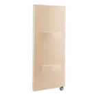 Vertikální elektrický radiátor v moderním ocelovém designu do 1000 W - řez Viadurini