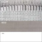 Stohovatelná venkovní židle s polstrovanými područkami H 73cm - Smart by Varaschin Viadurini