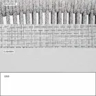 Stohovatelná venkovní židle s polstrovanými područkami H 73cm - Smart by Varaschin Viadurini