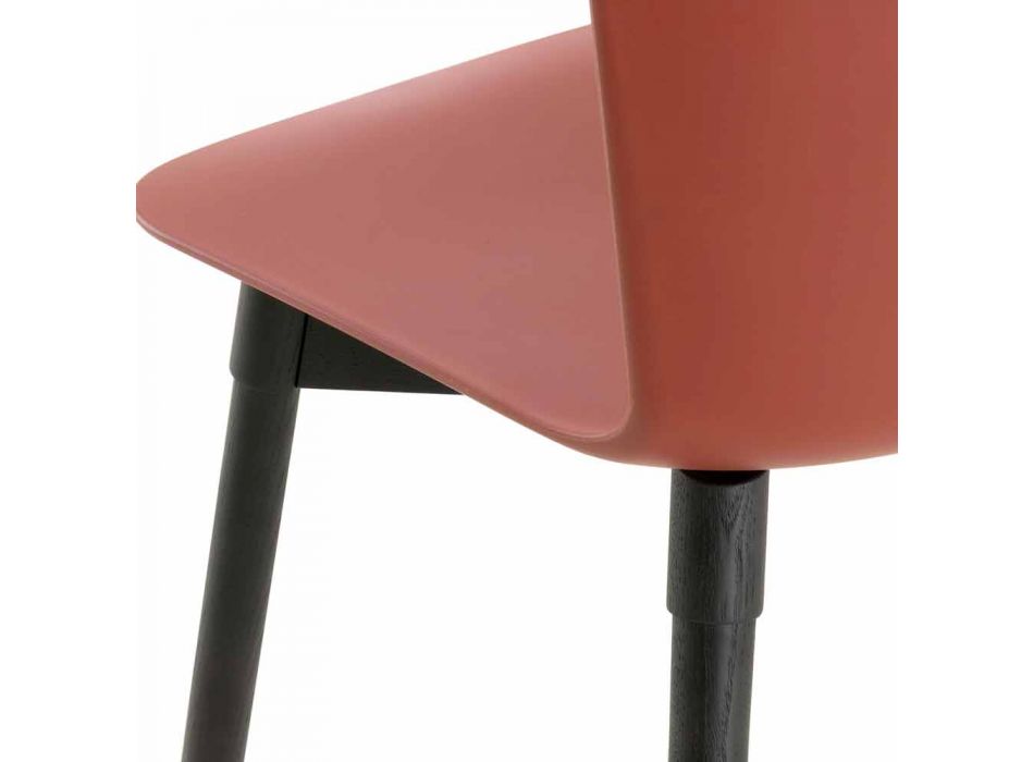 Polypropylenová židle se základnou z mořeného dubu Made in Italy, 2 Pieces - Scandio Viadurini