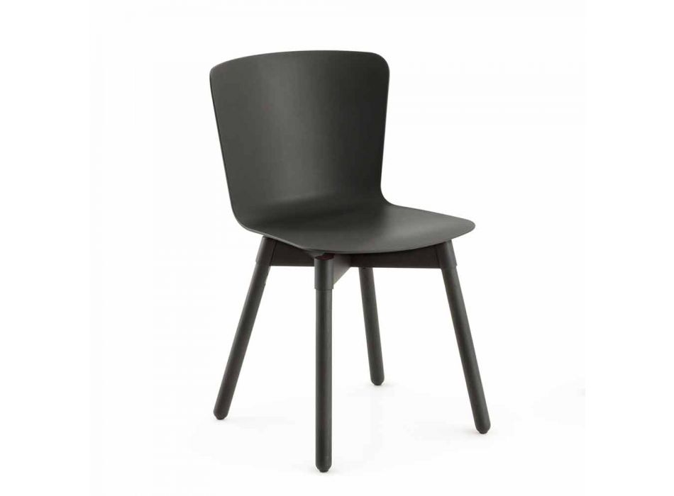 Polypropylenová židle se základnou z mořeného dubu Made in Italy, 2 Pieces - Scandio Viadurini