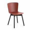 Polypropylenová židle se základnou z mořeného dubu Made in Italy, 2 Pieces - Scandio