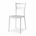 Živá designová židle z kovu a vícevrstvého dřeva vyrobená v Itálii 2 kusy - Go