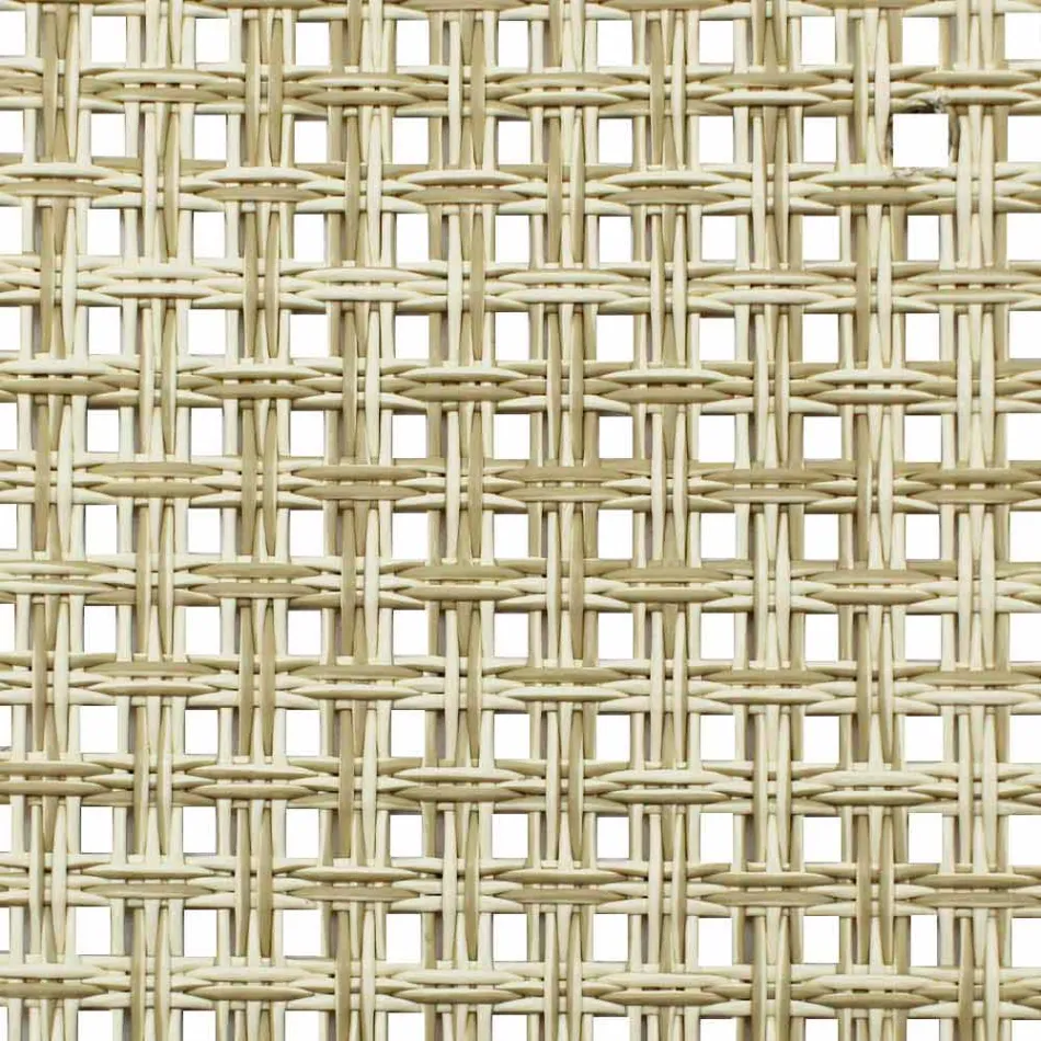 Skládací židle Director na plátně Made in Italy, 2 Pieces - Susy Viadurini