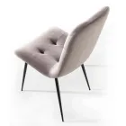 Sametová čalouněná jídelní židle odolná proti skvrnám, 4 kusy - Kylie Viadurini