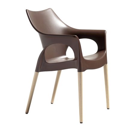 Židle do obývacího pokoje z polypropylenu a dřeva Made in Italy 4 kusy - Lucciola Viadurini