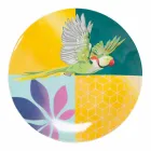 Služba porcelánu a nádobí v Gresu v 18 barevných designech - Tropycale Viadurini