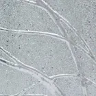 Obdélníkové nástěnné zrcadlo z jedle ze dřeva vyrobené v Itálii Achille Viadurini