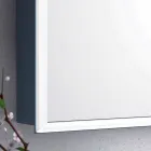 Stěna se zrcadlem 2 moderní kontejnerové dveře, LED osvětlení, Adele Viadurini