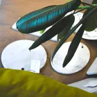 Kulatý design Bílé mramorové krájecí desky Carrara vyrobené v Itálii - Masha Viadurini