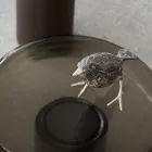 Konferenční stolek se skleněnou deskou a kovovou základnou Made in Italy - Batulla Viadurini