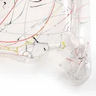 Moderní stůl vyrobený z vícebarevné plexisklo vyrobené v Itálii, Asii Viadurini