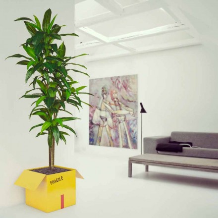 Držák Káva Časopisy Fragile Mabele Viadurini