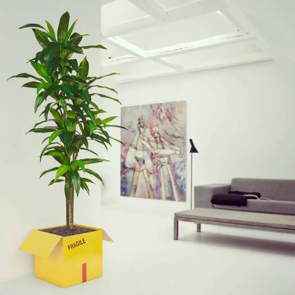 Držák Káva Časopisy Fragile Mabele Viadurini