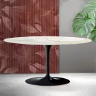 Konferenční stolek Saarinen Tulip V 41 cm, keramika Florim Calacatta Gold Matt - Scarlet Viadurini