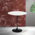 Konferenční stolek Saarinen Tulip, výška 52 cm, matně bílá keramika Florim - šarlatová Viadurini